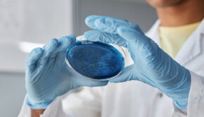 10 Marketing trends for life sciences businesses