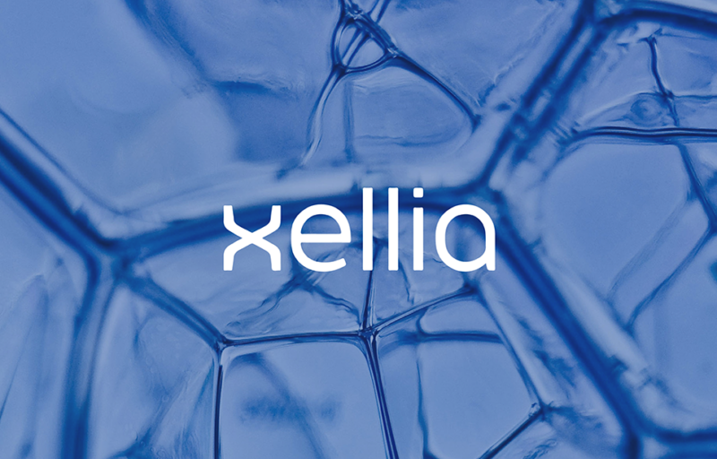 An aligned and amplified web presence