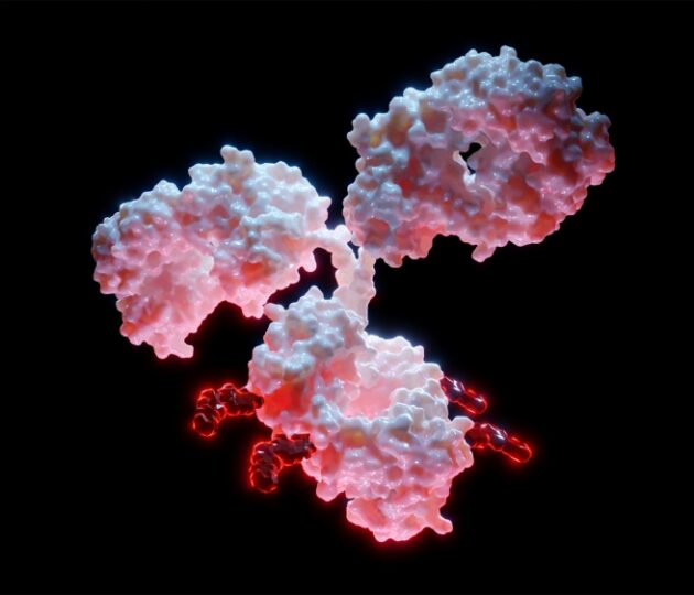 Antibody-Drug Conjugates